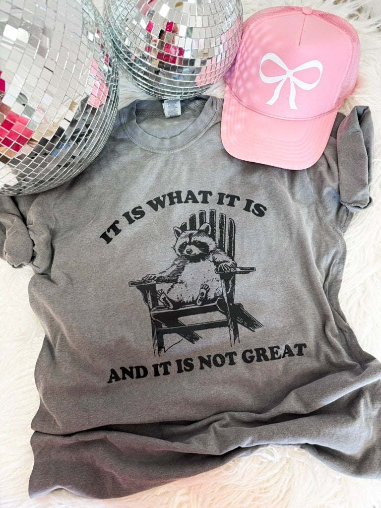 It Is What It Is Tee - The Tool Store