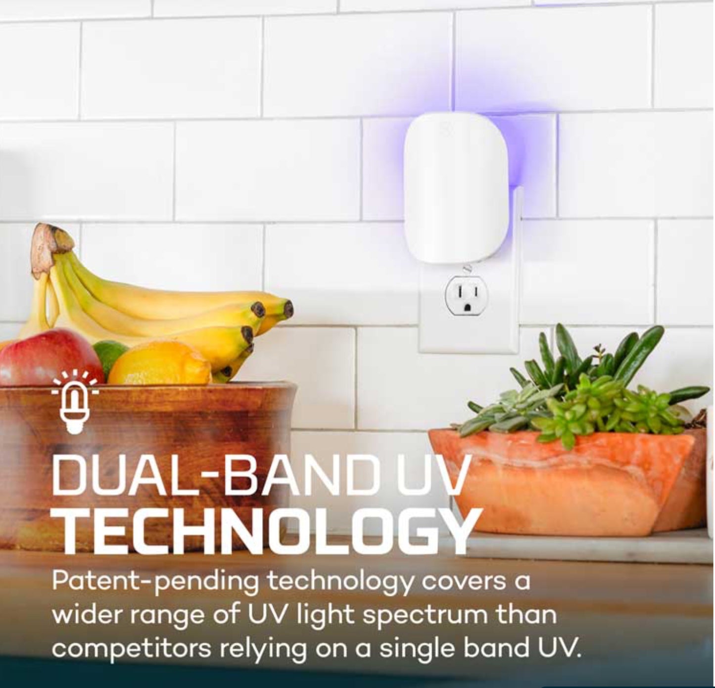 Nebo Fling Insect Trap - The Tool Store