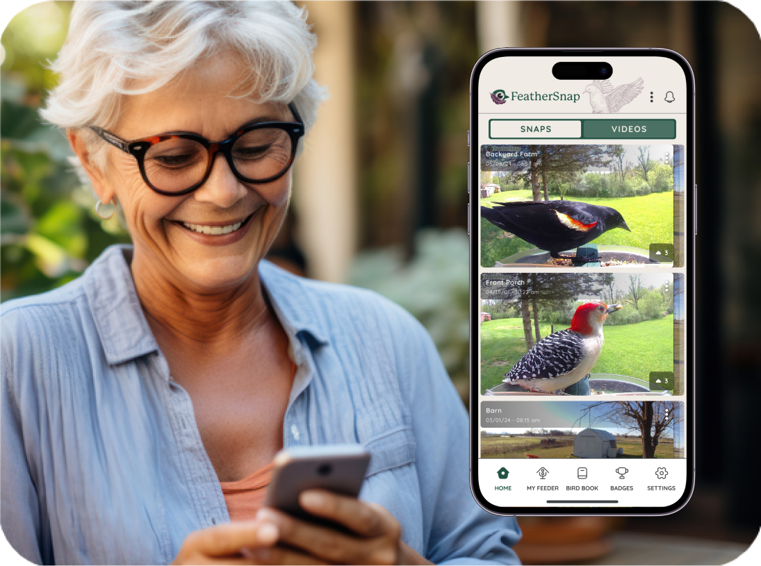 FeatherSnap Scout – Wi-Fi Solar Powered Smart Bird Feeder - The Tool Store