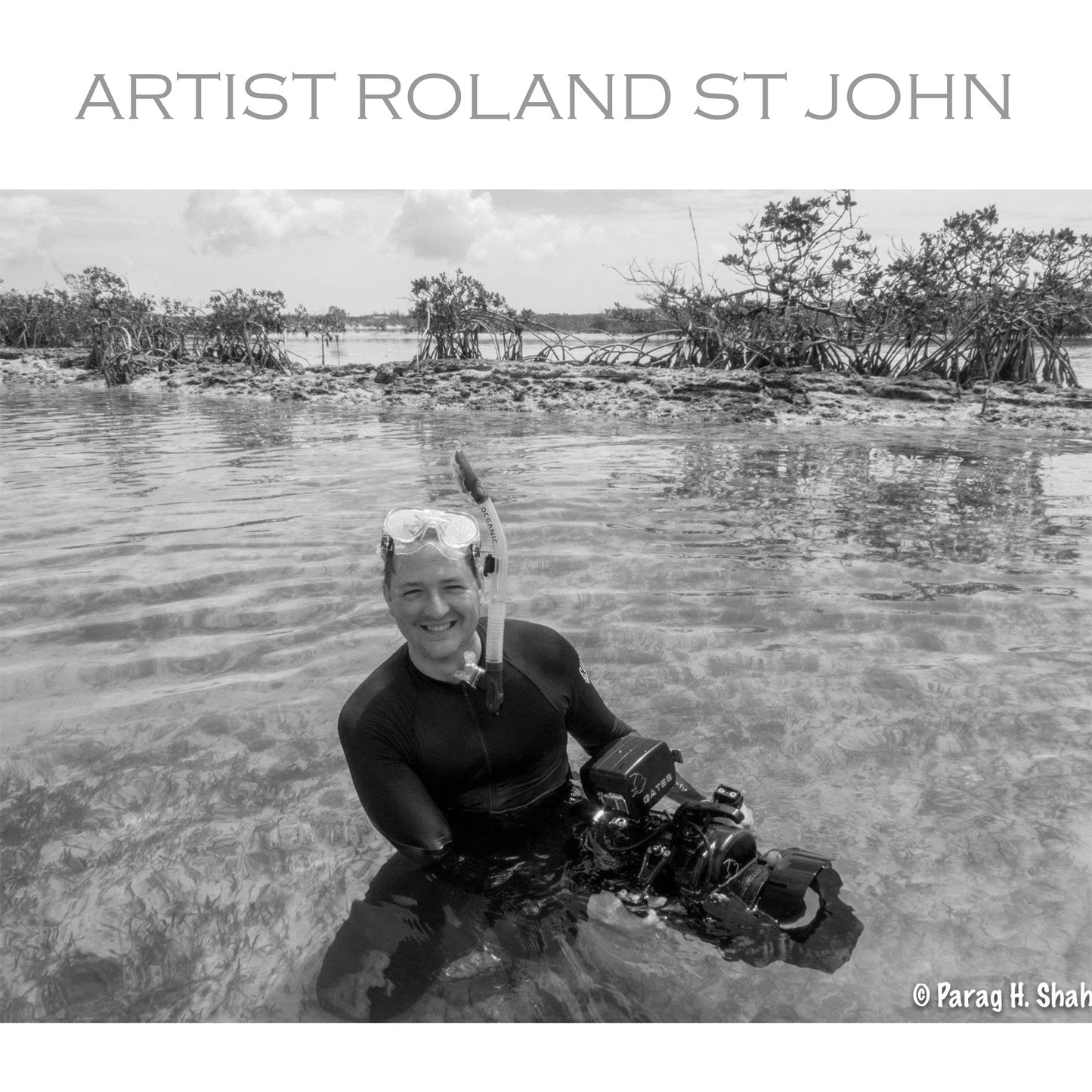 Whale Tail Necklace for Men and Women- Whale Tail Gifts ,Whale Fluke Necklace, Gifts for Whale Lovers, Sea Life Jewelry, Whale Fluke Charm - The Tool Store