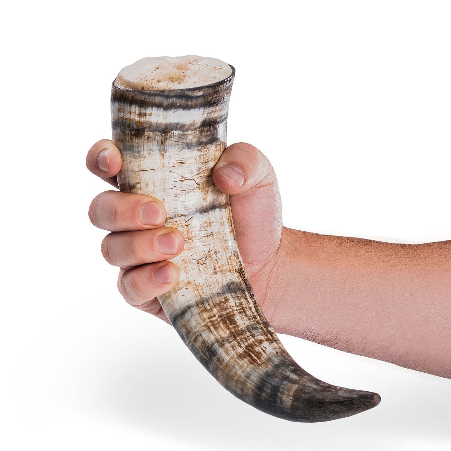 Curved Drinking Horn with Wooden Stand - The Tool Store