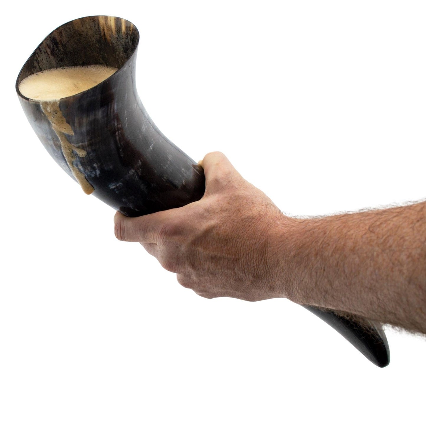 Curved Drinking Horn with Wooden Stand - The Tool Store