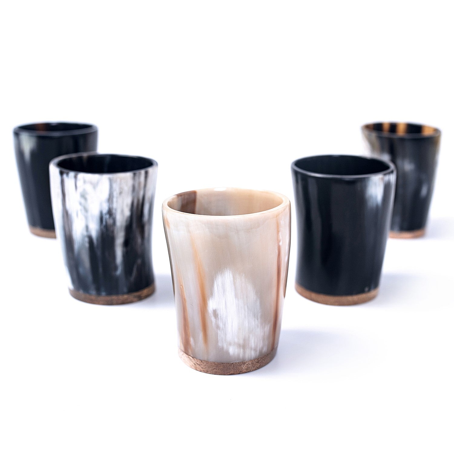 Horn Shot Cups (5-Pack) - The Tool Store