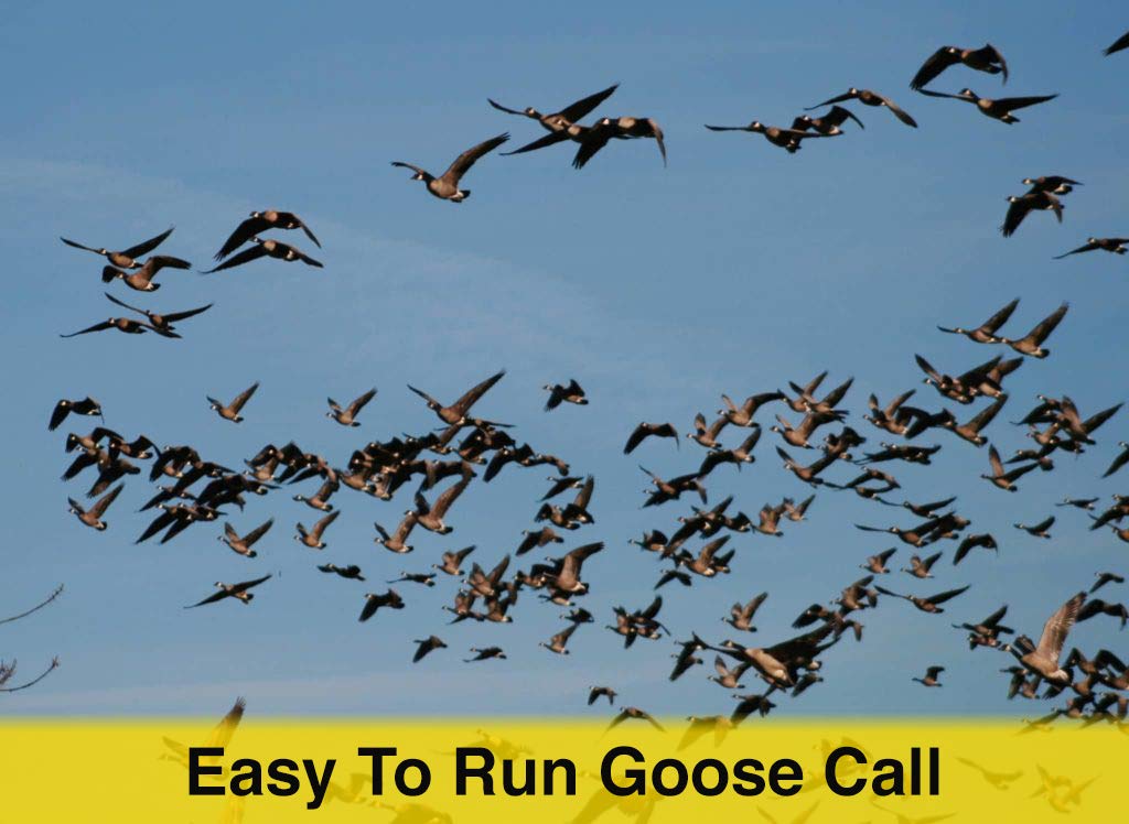 Waterfowl Goose Call - The Freezer call - The Tool Store