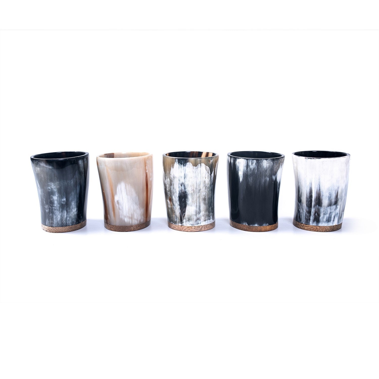 Horn Shot Cups (5-Pack) - The Tool Store