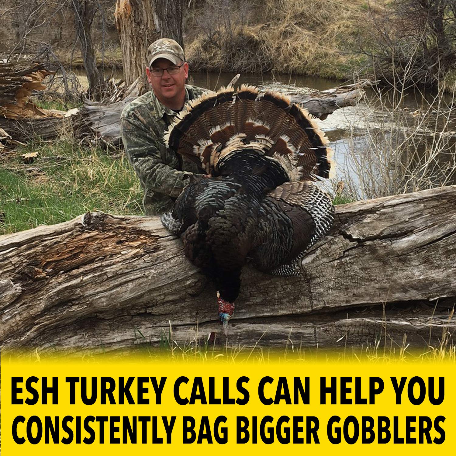 ALL WEATHER Turkey Box Call - The Tool Store
