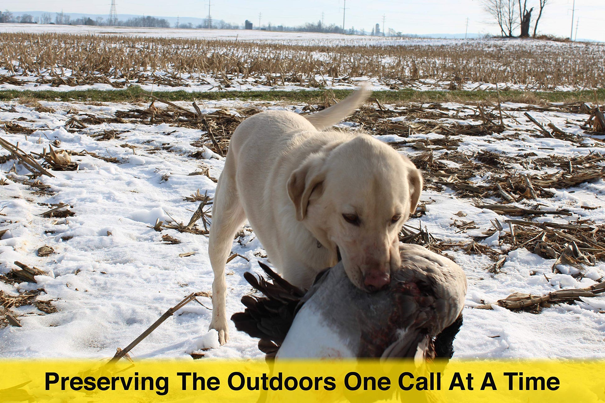 Waterfowl Goose Call - The Freezer call - The Tool Store