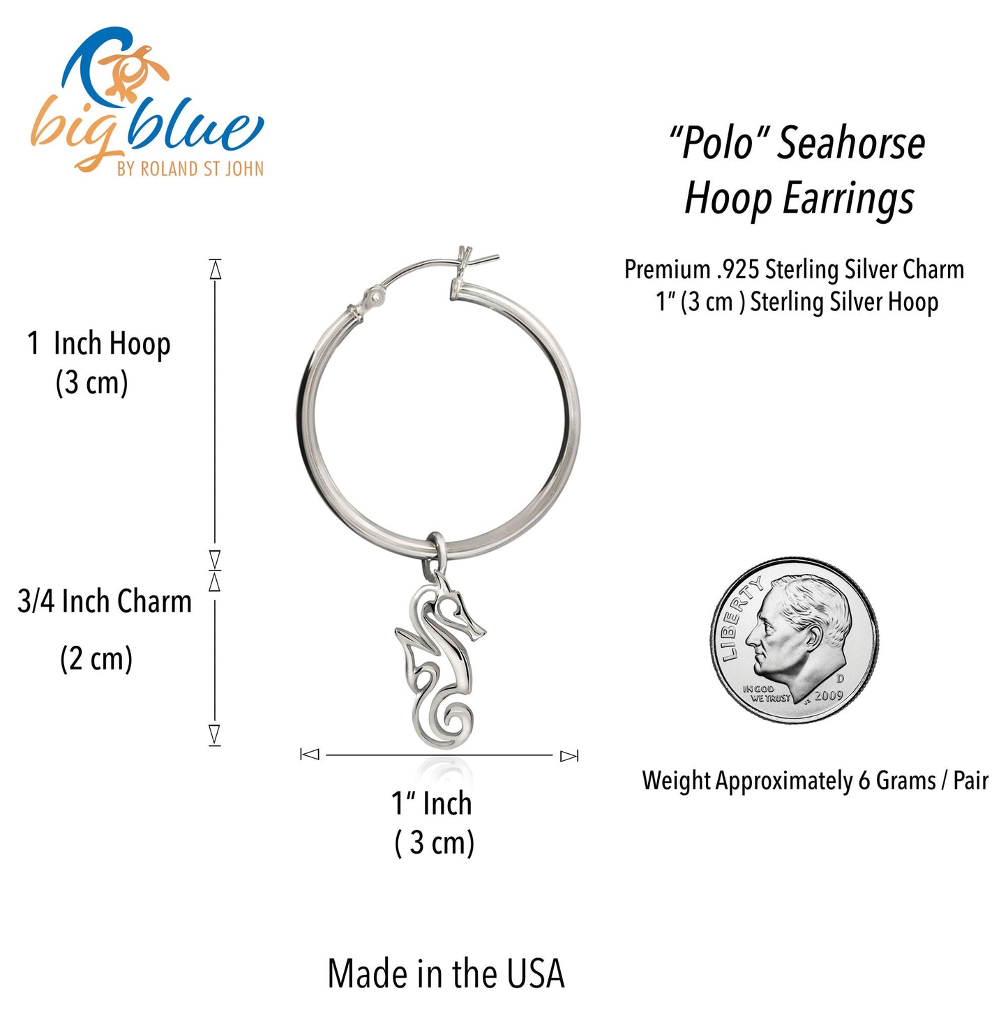 Seahorse Hoop Earrings for Women Sterling Silver- Seahorse Drop Earrings, Seahorse Dangle Hoop Earrings, Seahorse Jewelry, Seahorse Gifts - The Tool Store