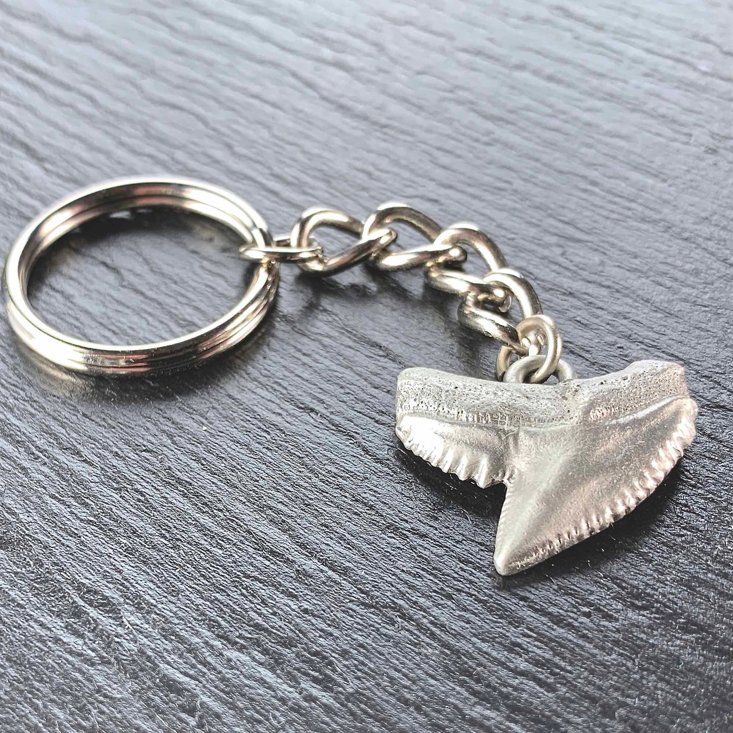 Shark Tooth Keychain, Shark Tooth Key Ring, Tiger Shark Tooth Keychain, Gifts for Shark Lovers, Shark Key Fob, Pewter Key Chain, Scuba Gifts - The Tool Store