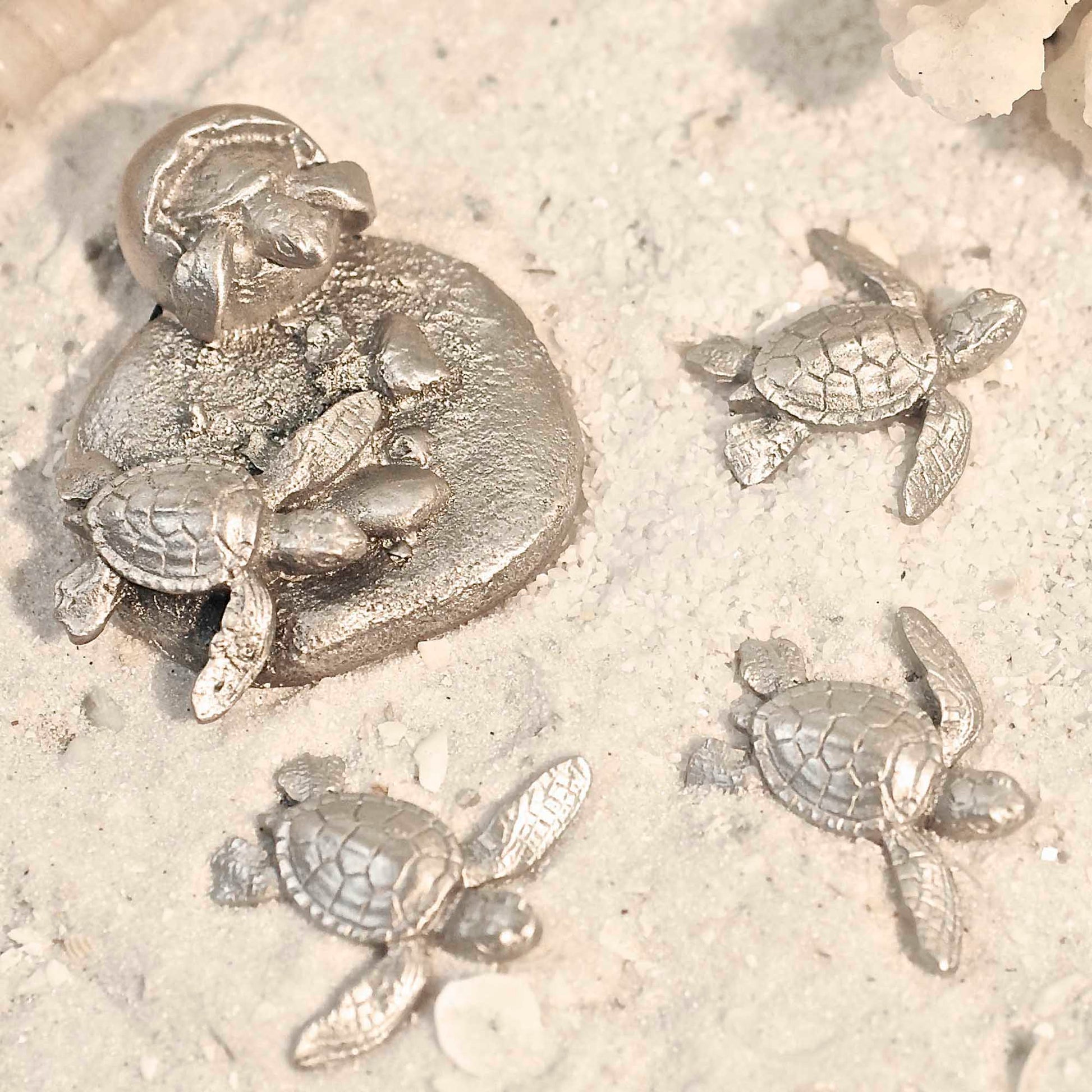 Baby Sea Turtle Magnets, Sea Life Magnets, Magnetic Sea Turtles, Gifts for Turtle Lovers, Baby Hatching Magnets, Turtle Gifts for Teachers - The Tool Store