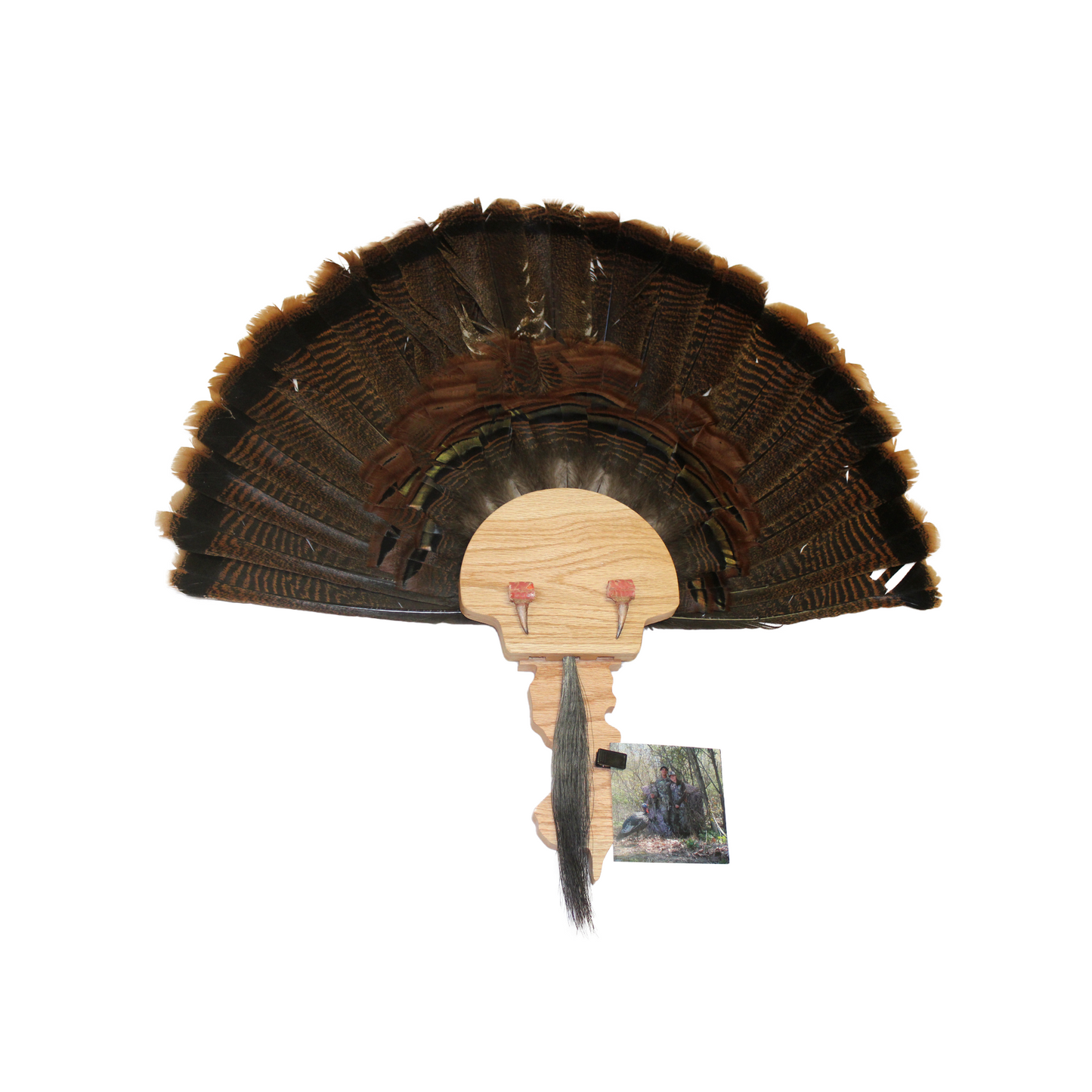 Turkey Mount Plaques with State - The Tool Store