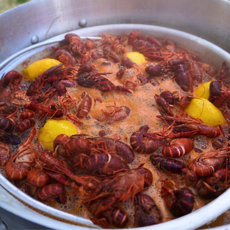 Napalm Crawfish & Seafood Boil™ - The Tool Store