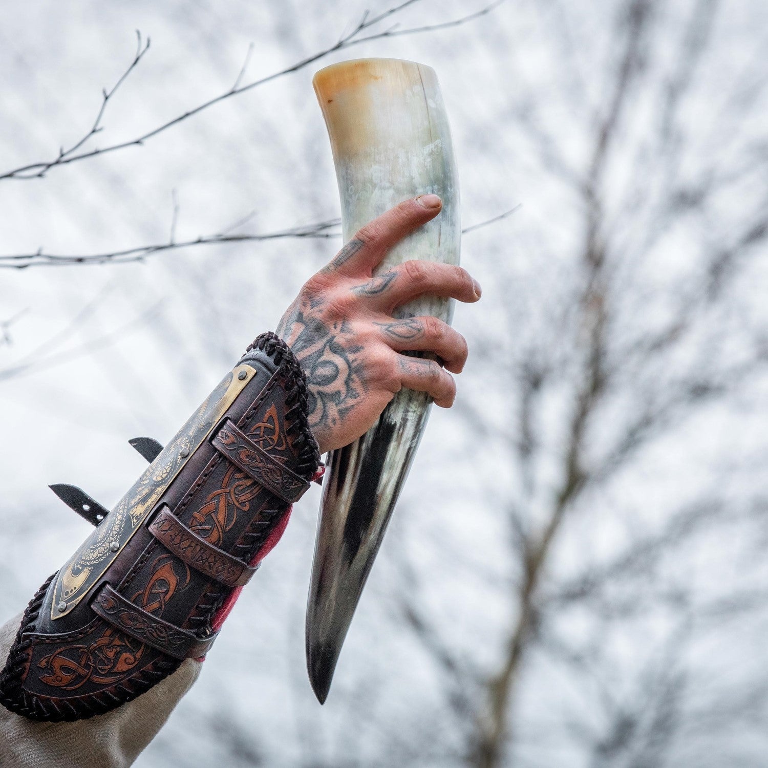 Curved Drinking Horn with Wooden Stand - The Tool Store