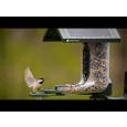 FeatherSnap Scout – Wi-Fi Solar Powered Smart Bird Feeder