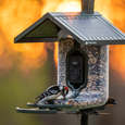 FeatherSnap Scout – Wi-Fi Solar Powered Smart Bird Feeder