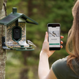 FeatherSnap Scout – Wi-Fi Solar Powered Smart Bird Feeder