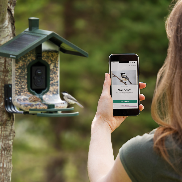 FeatherSnap Scout – Wi-Fi Solar Powered Smart Bird Feeder